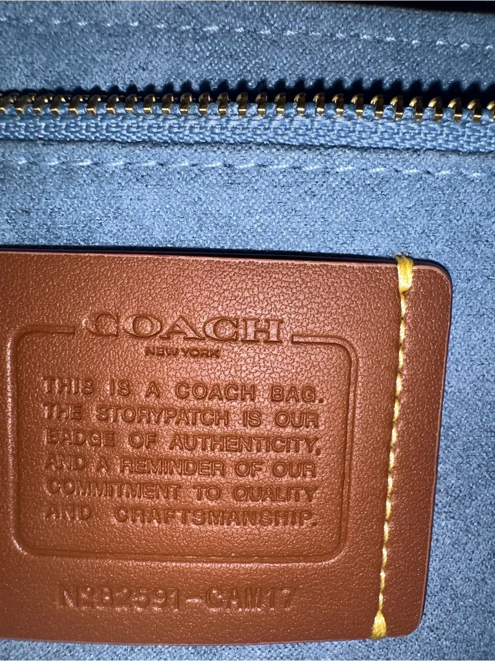 Coach Sage bag Leather Crossbody Shoulder Bag with Gold Hardware